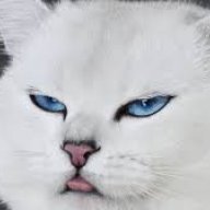 puff